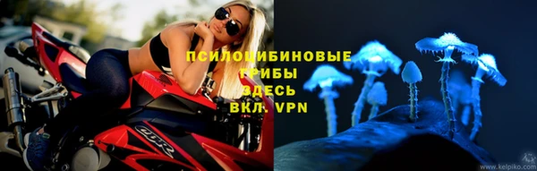 mdpv Заволжск