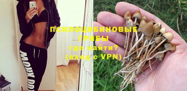 mdpv Заволжск