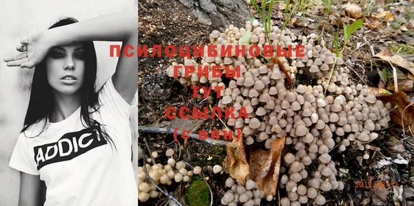 mdpv Заволжск