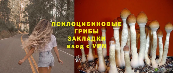 mdpv Заволжск