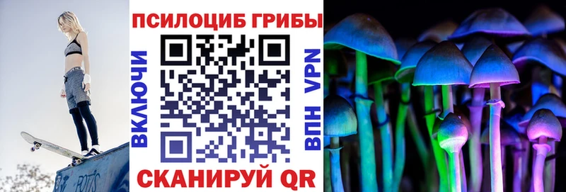 продажа наркотиков  Энем  Галлюциногенные грибы MAGIC MUSHROOMS 